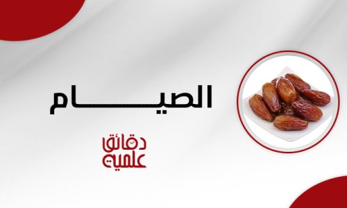 الصورة المصغرة للدورة