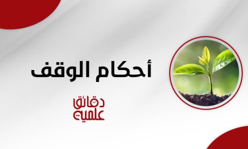 الصورة المصغرة للدورة